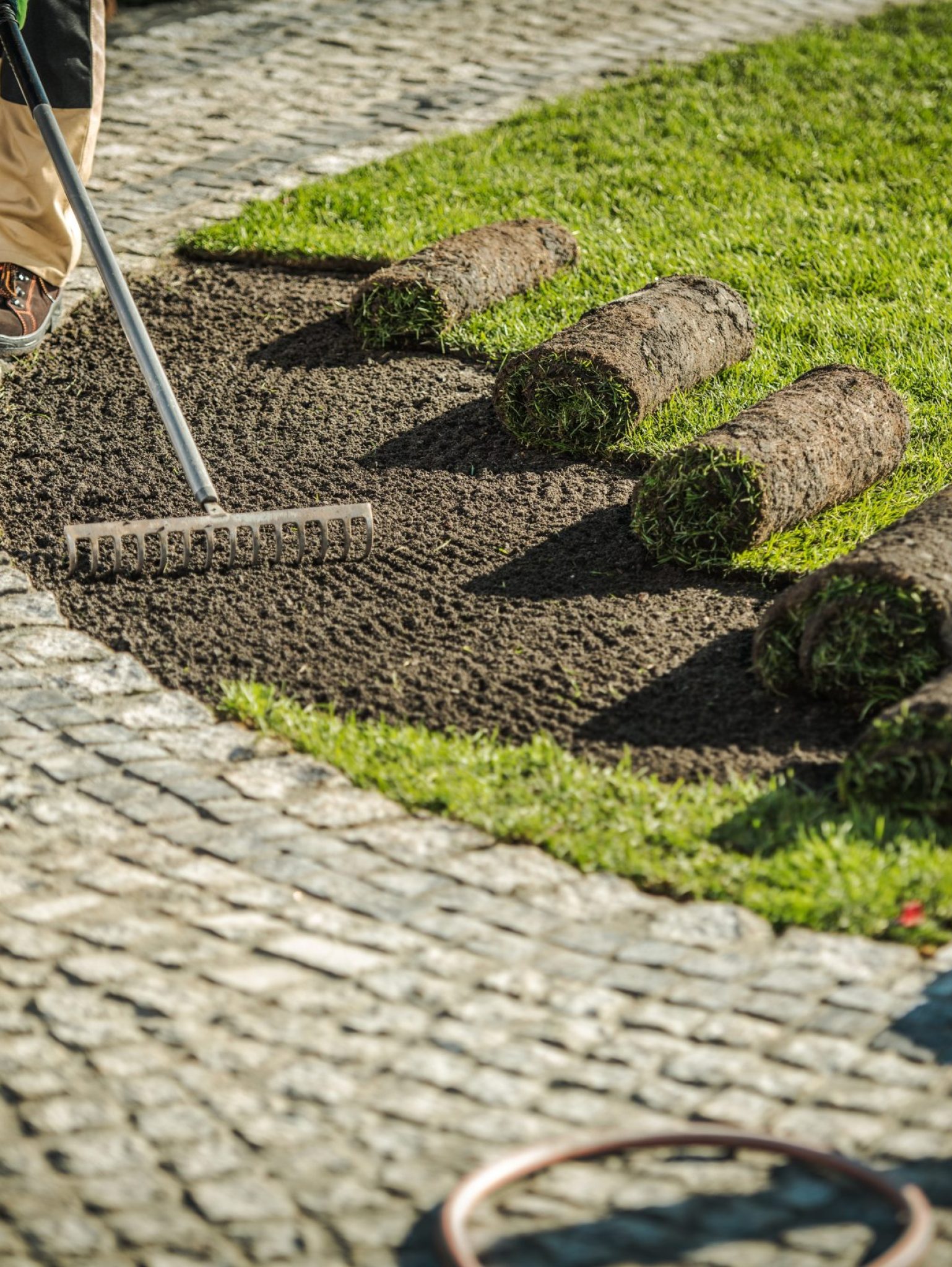 Newly Developed Garden Grass Turfs Installation> Landscaping Industry Theme.